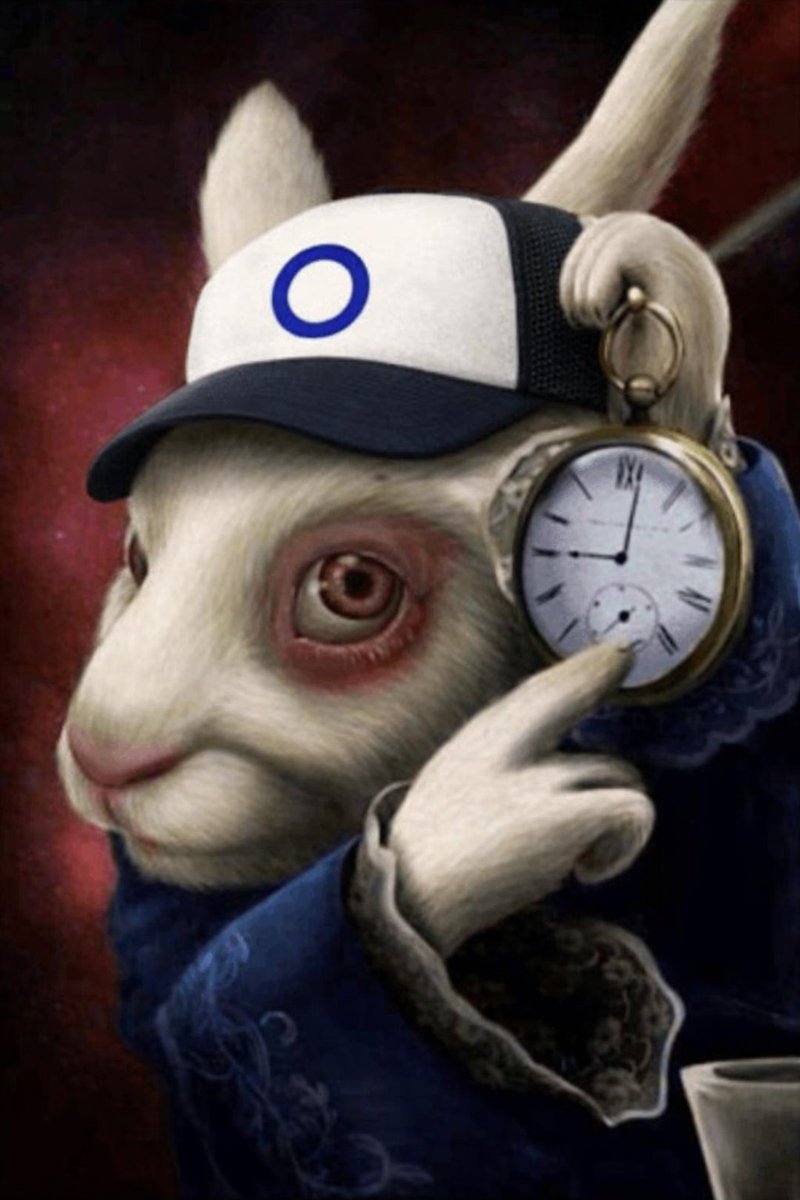 octra intern tweet media