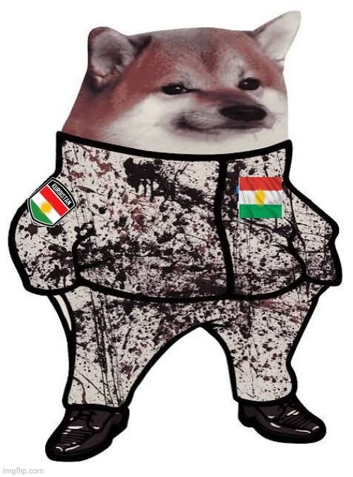 Putindoge's tweet photo. @OnlyRealJohanna @azizkahmad New character has been unlocked https://t.co/9s2WpFcXd4