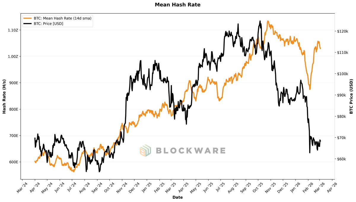 Mitchell Askew tweet media