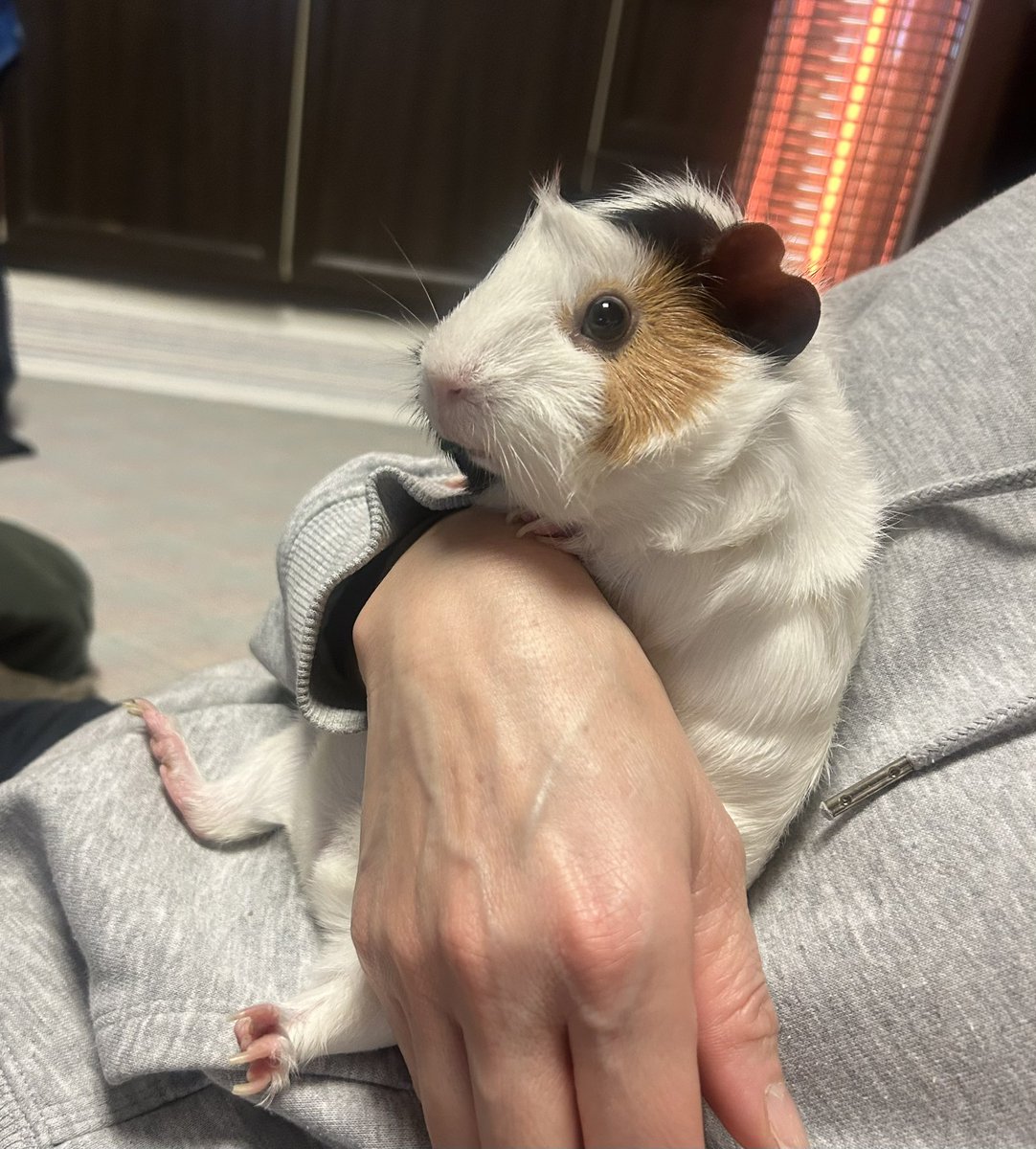 母に抱かれて座ってた🧸