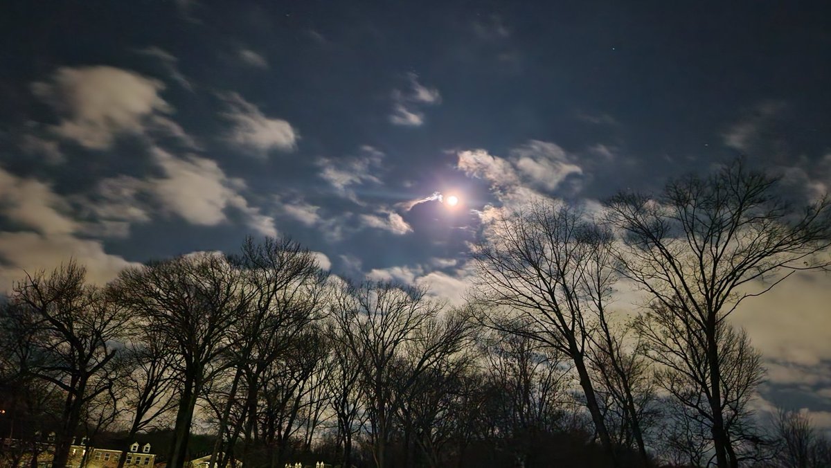 h e a v e n l y tweet media