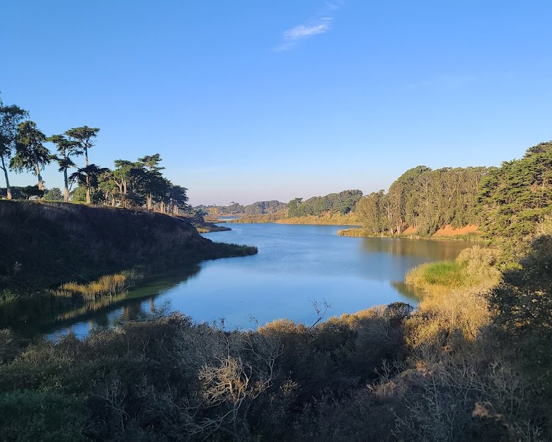 owenmiller75's tweet image. That's sad, Selena. I used to jog just south of there, around Lake Merced! 🏃‍♂️ 
#California #LakeMerced #SanFrancisco 🌉