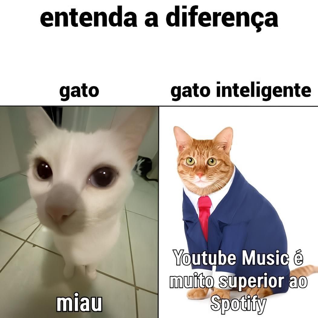 Shitpost só que de verdade tweet media