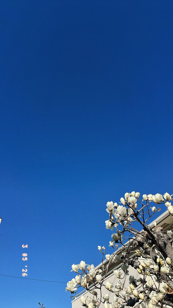 おはよございます！
むずむずが止まらないー！！！
普段目薬ささないから同じもの7.8年使ってる気がするんだけど、さすがに何か沈澱してて怖くなってさせなくなった🙄
目薬って消費期限ありますか…？