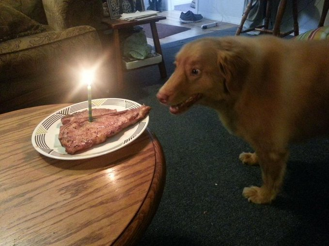 ditzy 🍥 tweet media