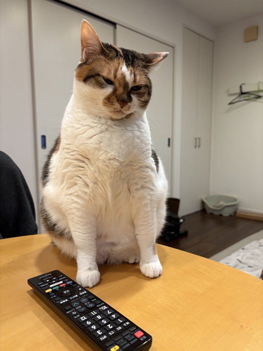 おはようございます