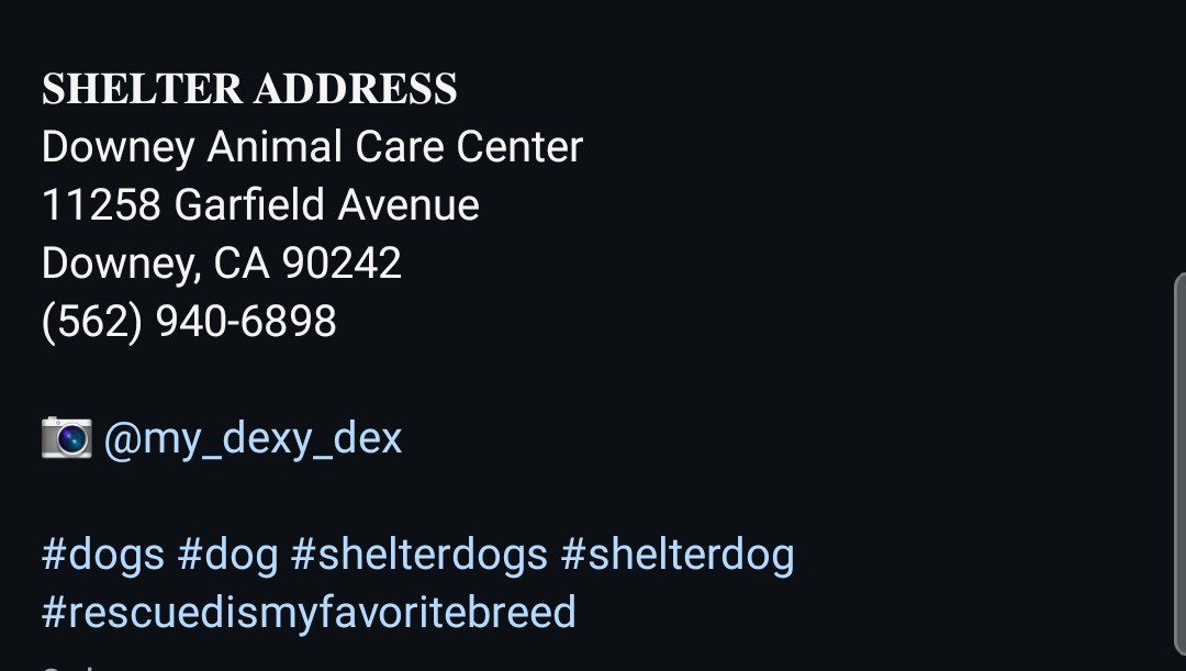 8415_n's tweet image. REINA #A5752611
2yo. #rottie #Rottweiler #rottielover #rottierescue #rottweilerrescue
She may look grumpy sometimes, but this sweet girl is healing from a fractured pelvis. Steady, centered, relaxed personality. Dog-friendly.
Most #URGENT ‼in #Downey today
#PLEDGE
#FOSTER
#ADOPT
