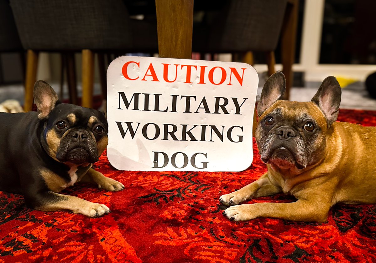 Pinot & Merlot tweet media