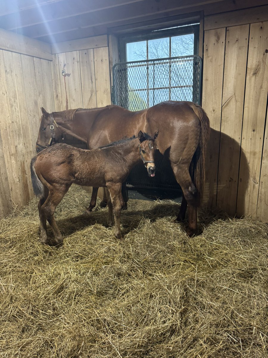 Chris Moore tweet media