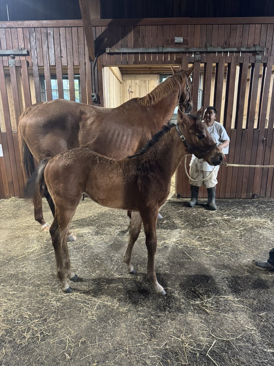 Chris Moore tweet media