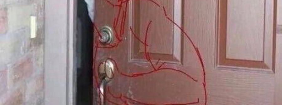 مـــــــهـMahaـا tweet media