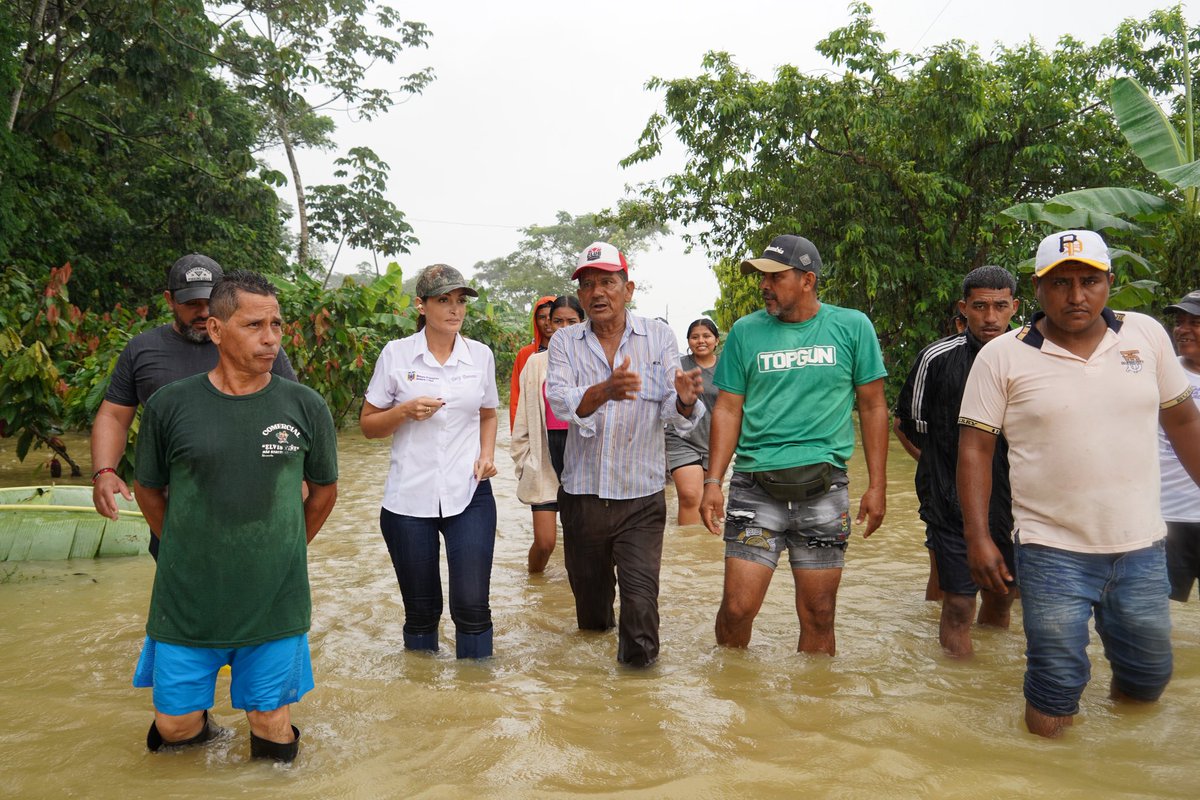 Agricultura_CZ5's tweet photo. #LosRíos | En el cantón Urdaneta realizamos un recorrido por zonas afectadas por lluvias, donde dialogamos con productores de la Asociación La Irene. Levantamos información para la boleta MAAPEA, registrando afectaciones parciales en cultivos de arroz y cacao. 

#ElNuevoEcuador https://t.co/JEqCKmuILc