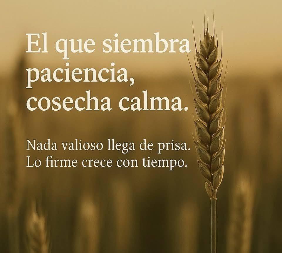 Imperio Estoico. (@imperioestoico) on Twitter photo 