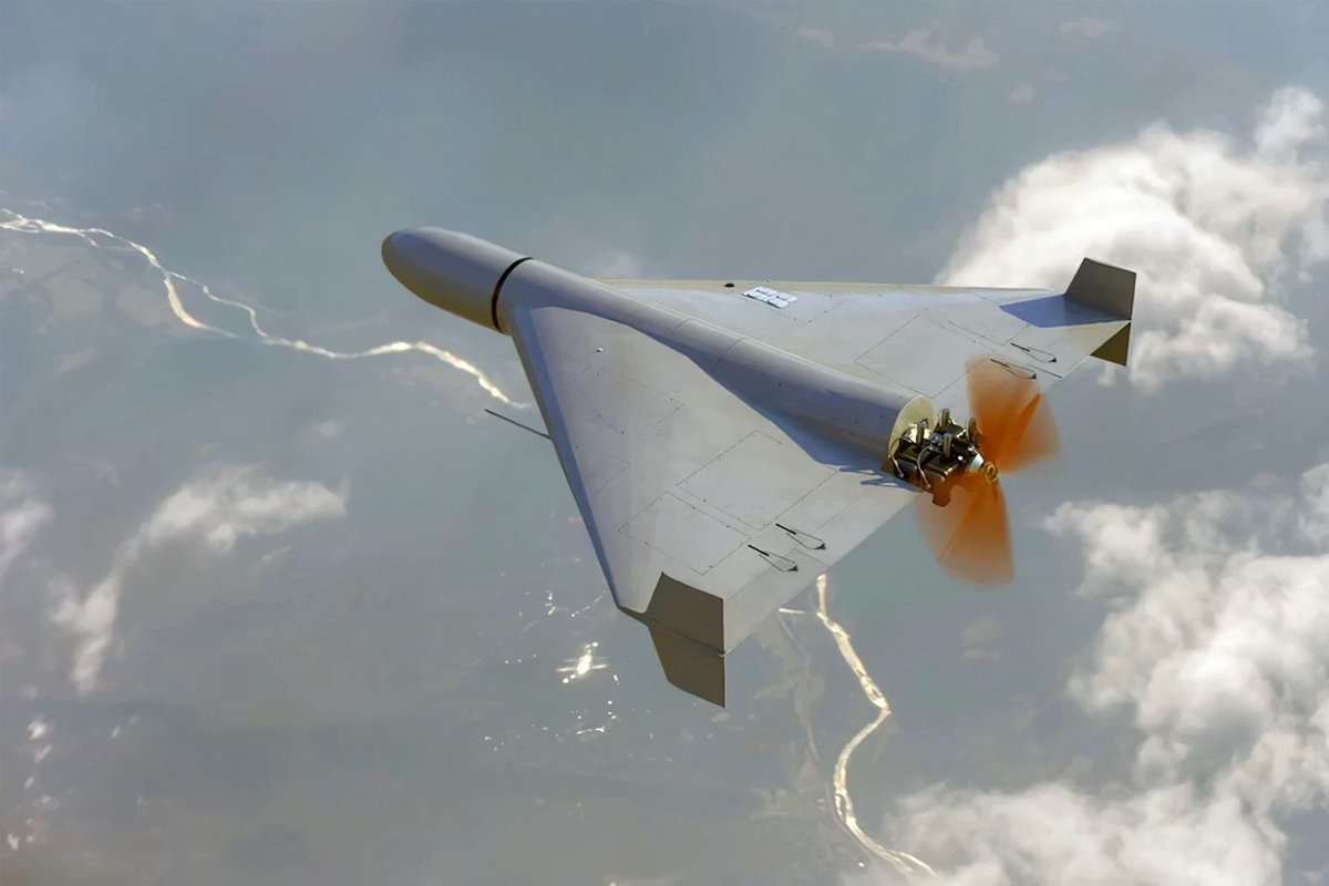 José Luis #360 tweet media