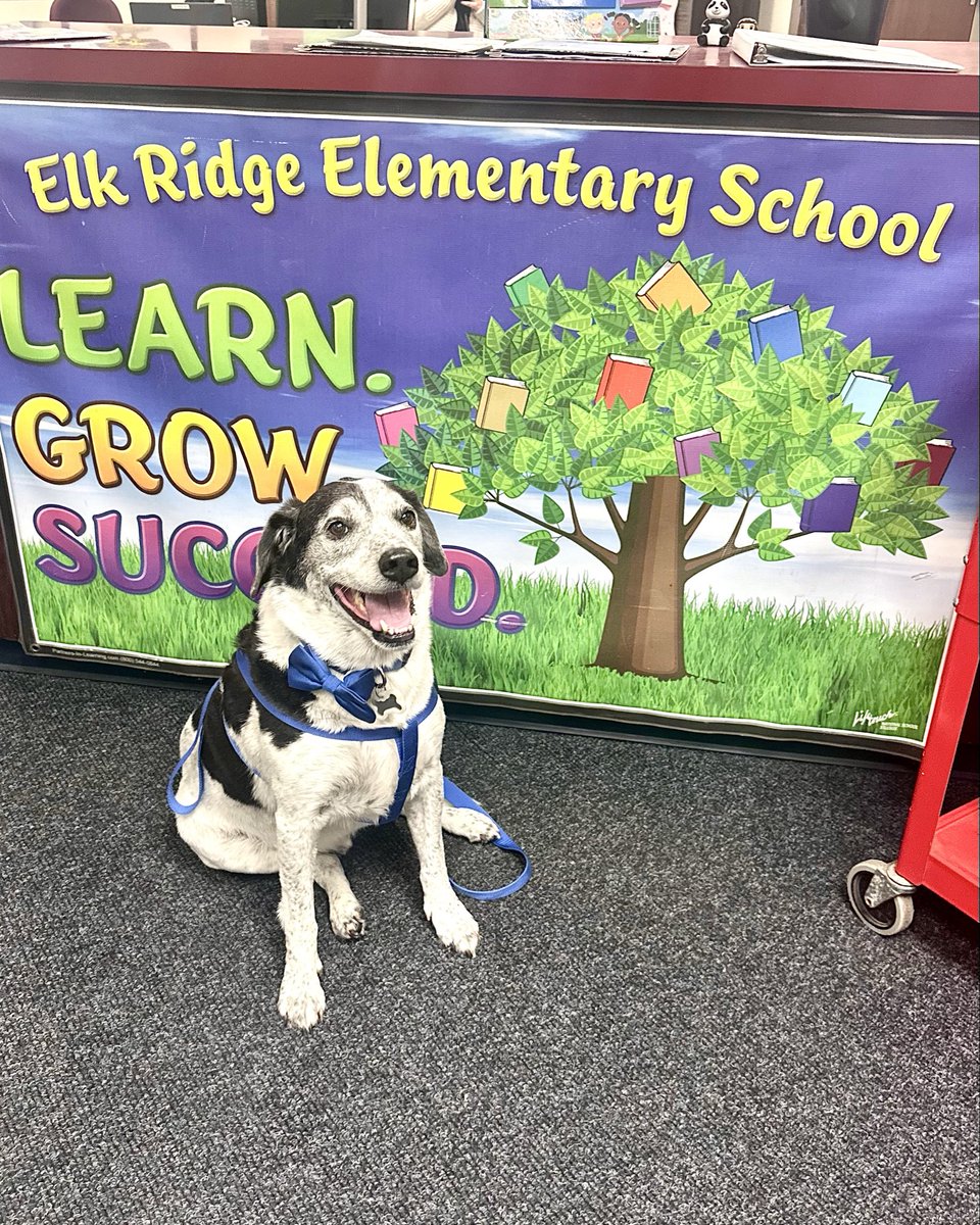 PAWS and THINK!® tweet media