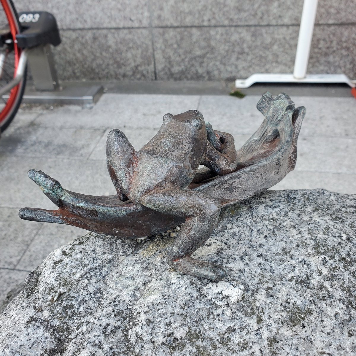 蛙旅団 tweet media