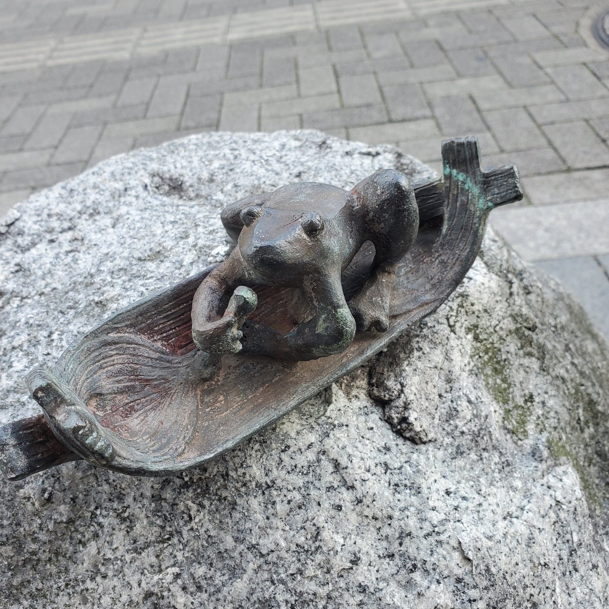 蛙旅団 tweet media