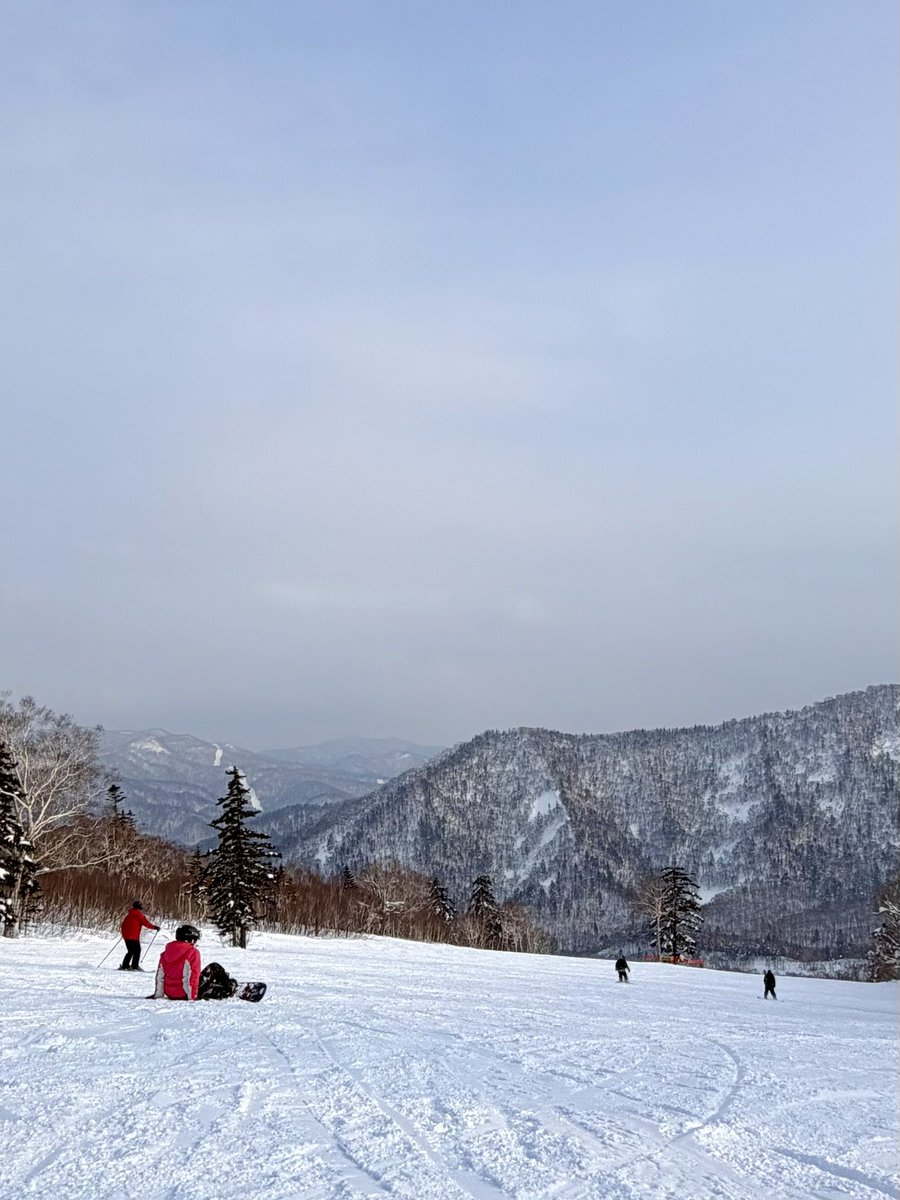 SimplyALemon tweet media