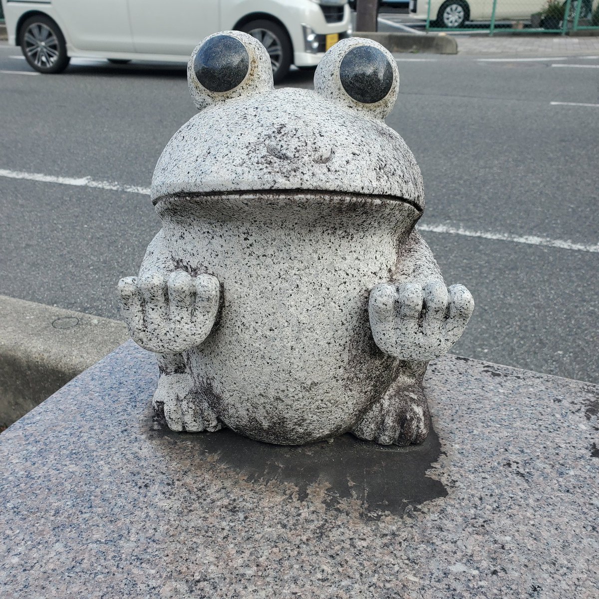 蛙旅団 tweet media