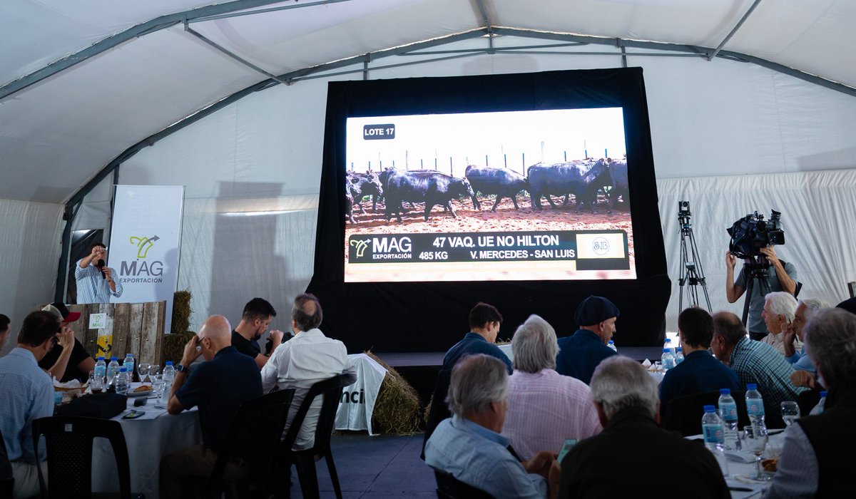 Marisa Fassi tweet media