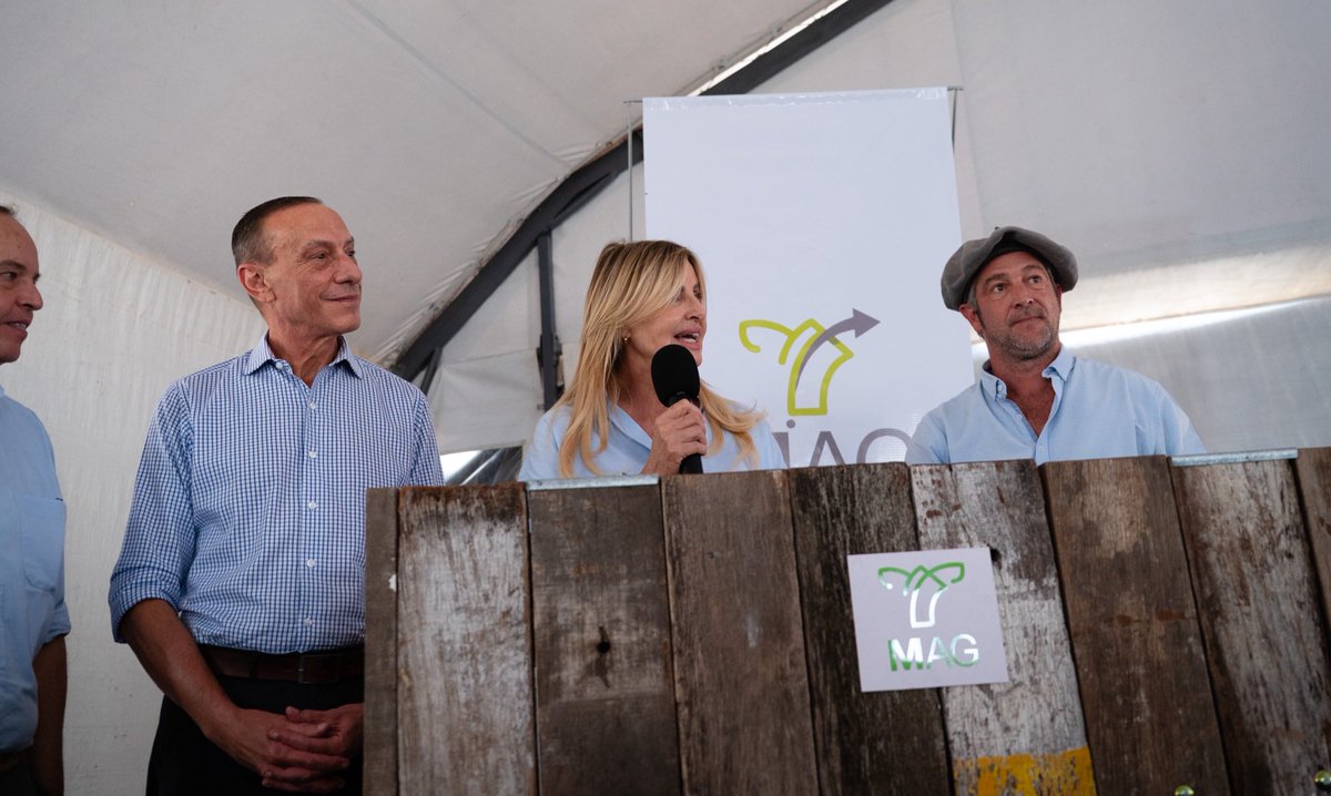 Marisa Fassi tweet media