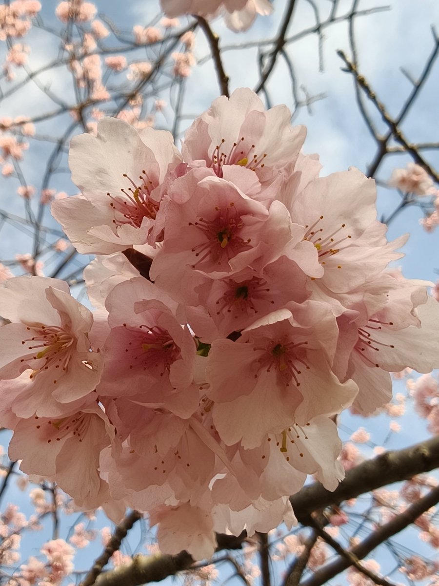 おはnana〜☀ スーパー開運日な木曜日！ ヤバい💦 来週の為の時間が