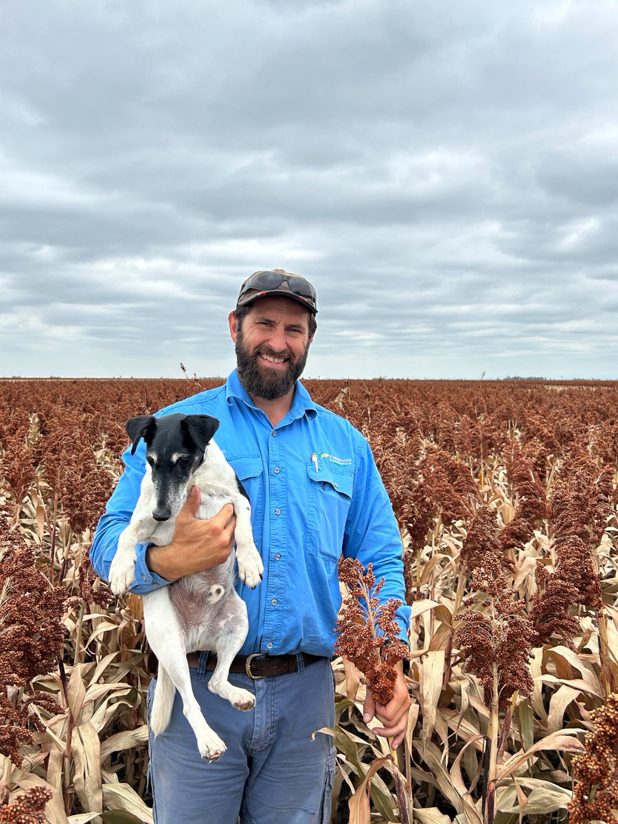 Pacific Seeds tweet media