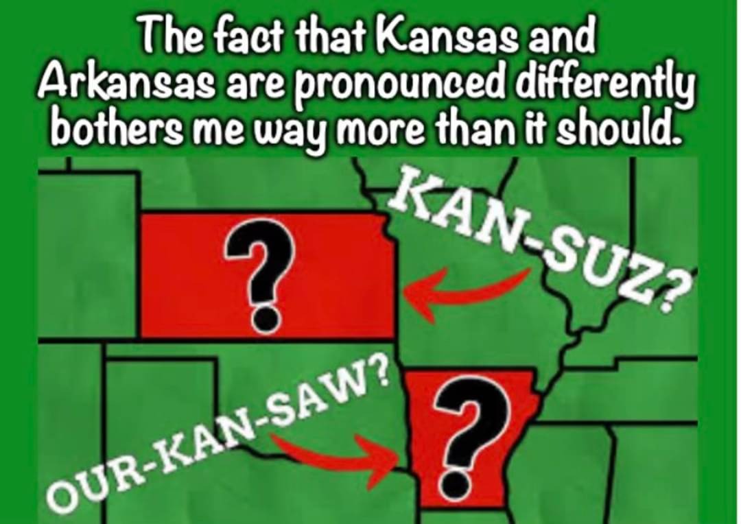 The Raffish Grimalkin tweet media