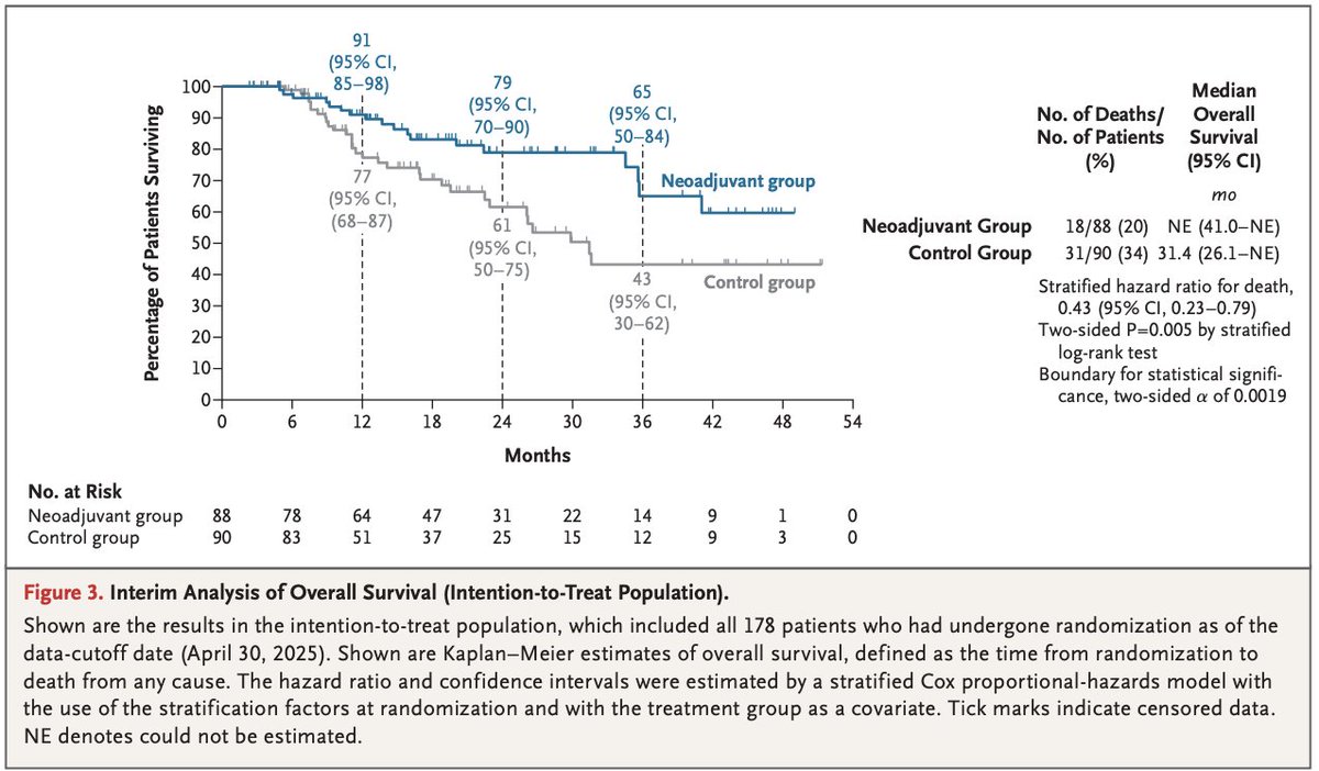 Oscar Tahuahua tweet media