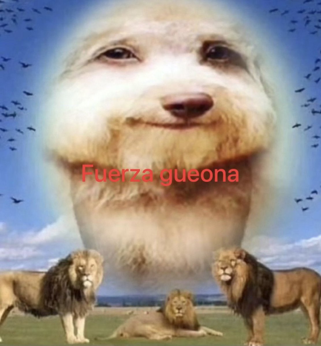 mirando esta foto para darme ánimo porque honestamente no estoy soportando nada