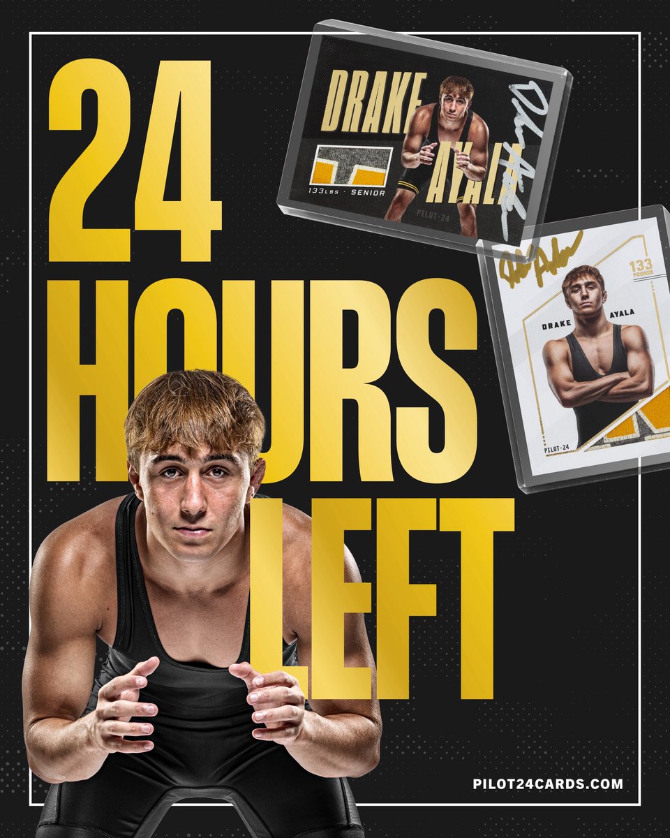 Pilot 24 tweet media