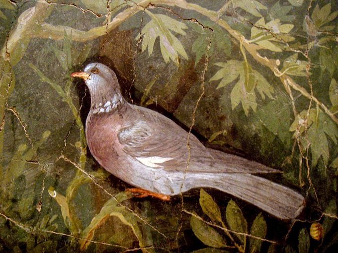a_london_pigeon's tweet image. Ancient Roman garden fresco from the 'House of the Golden Bracelet’ #Pompeii #Vesuvius #AD79 #Italy   
Painted onto damp plaster. The pigments fuse with the plaster to form a (very!) durable picture.