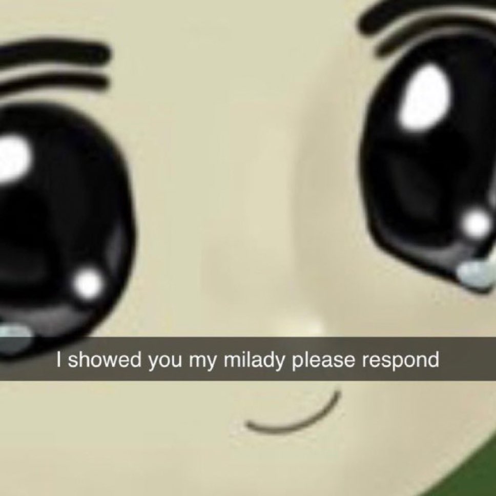 lizardstate 🌭🦎 tweet media