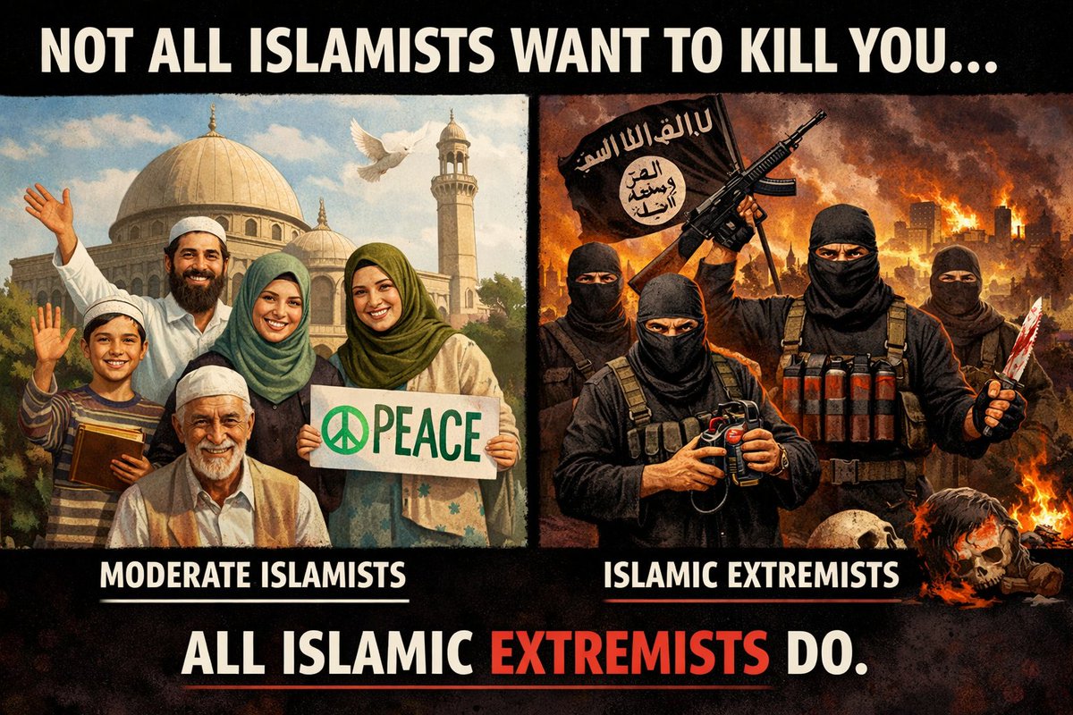 ShibInYou etc tweet media