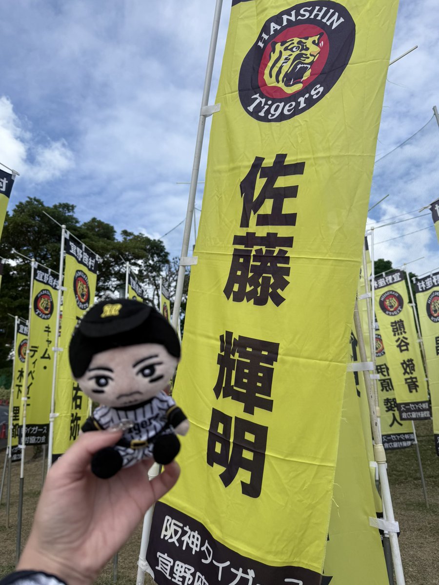 n_75tt's tweet photo. #阪神沖縄キャンプ https://t.co/kOOAsFi42C