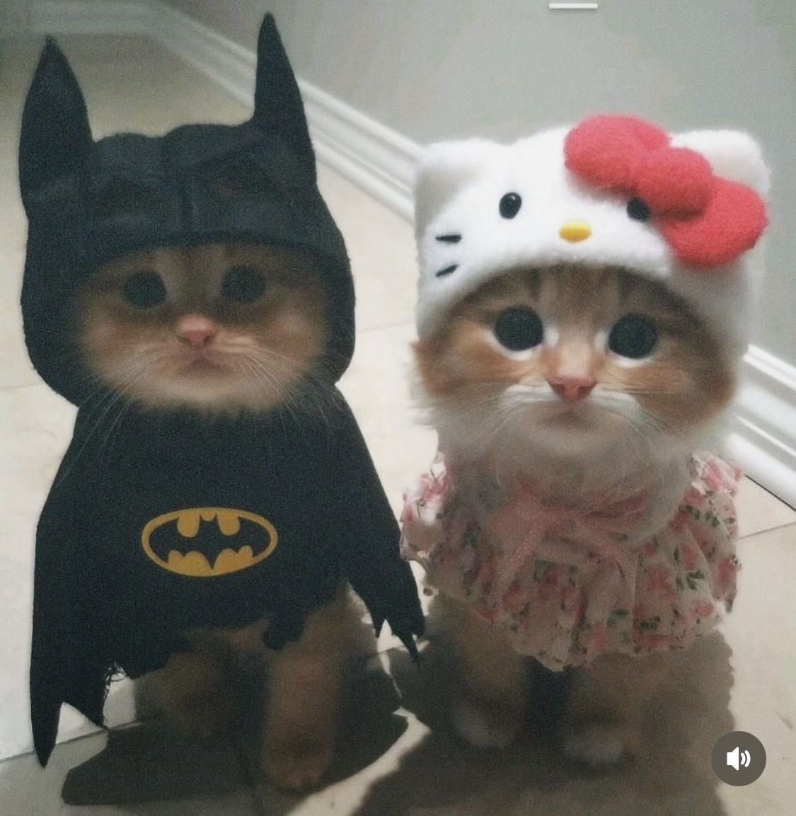 tagyourwho's tweet photo. https://t.co/auHdZCykzT