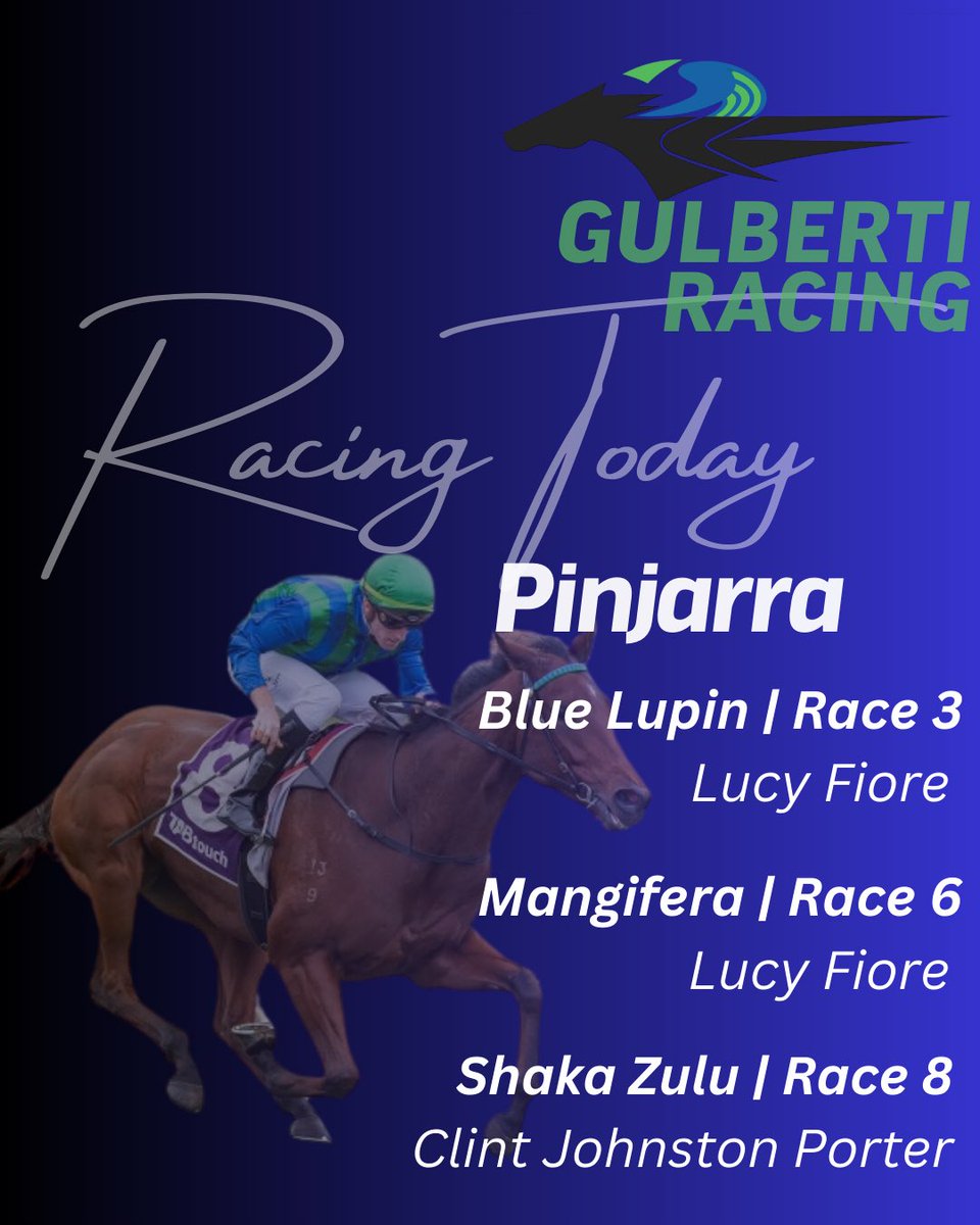 Gulberti Racing tweet media