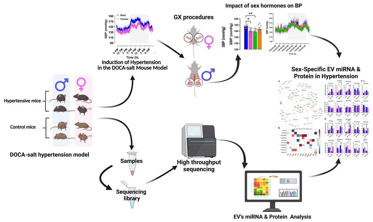 Hypertension tweet media