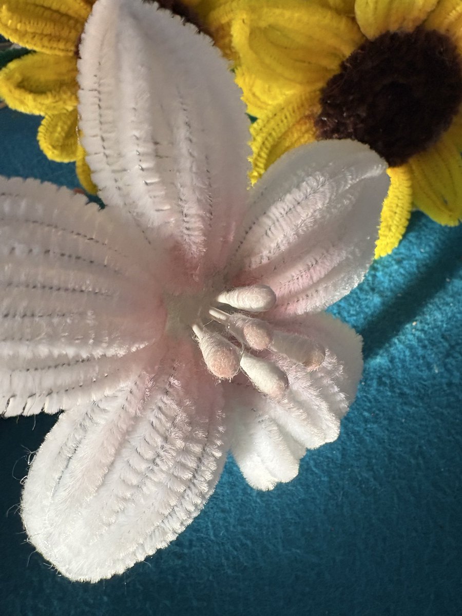 Sunny Suuris ☀️🎵 【KalopsiePX】 tweet media