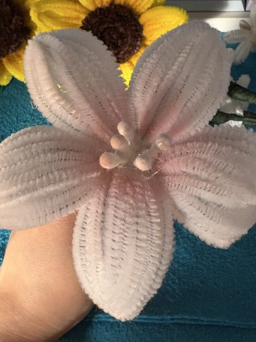 Sunny Suuris ☀️🎵 【KalopsiePX】 tweet media