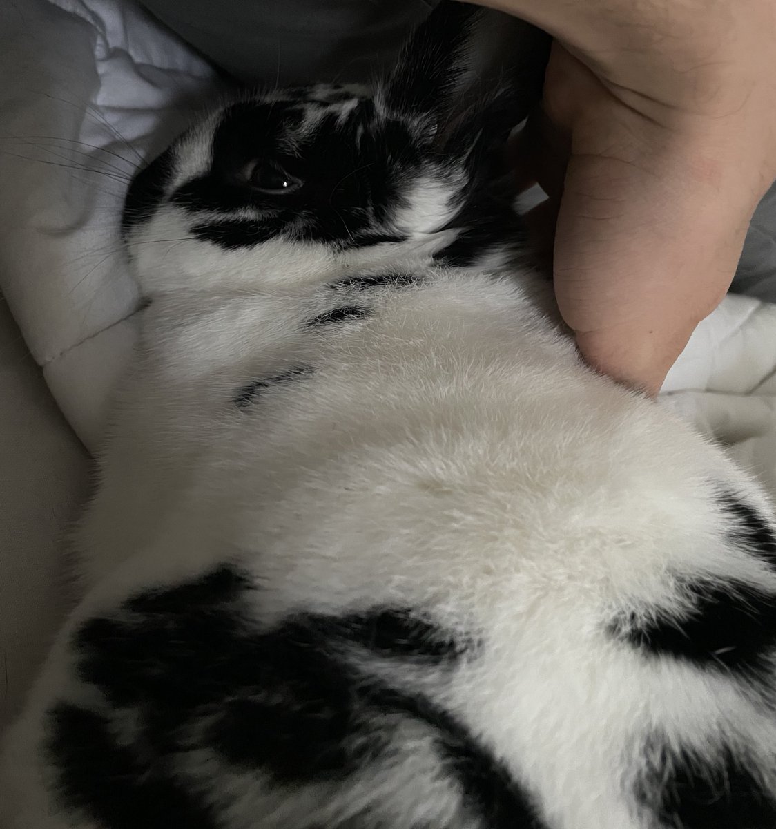 Quarter Conscious tweet media