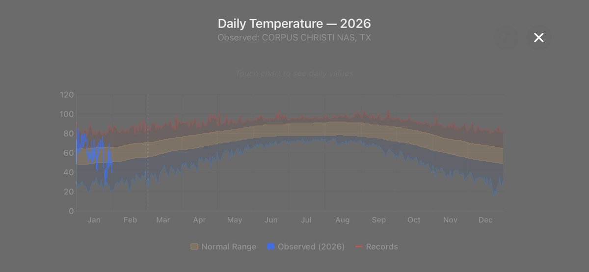 Cory Mottice tweet media