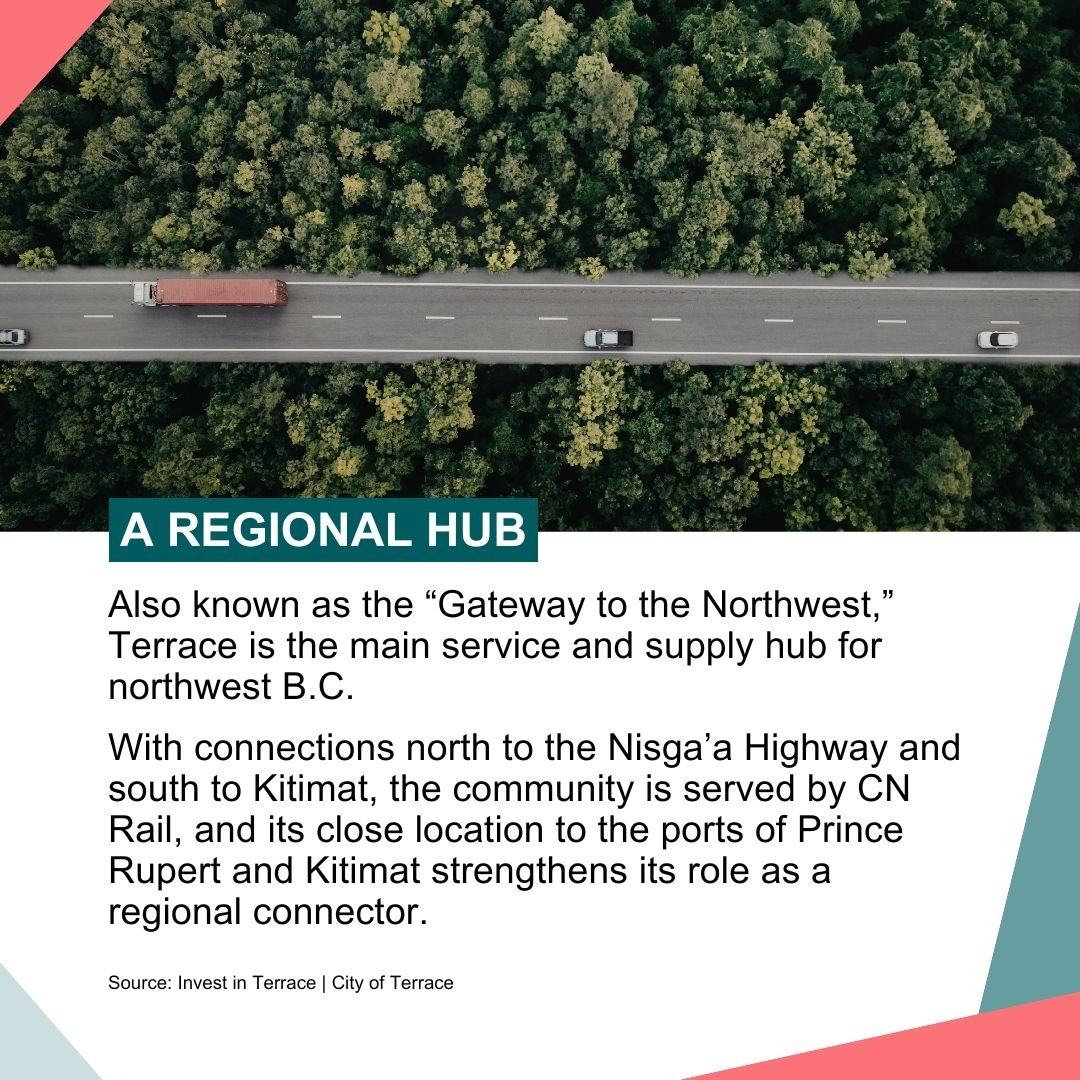 PacifiCanEN's tweet photo. Discover the heartbeat of #BC in our series about the places we live! 🏡

This month, our journey takes us to @CityofTerrace, a major regional hub and home to the rare Spirit Bear, a white-coloured black bear. 

Swipe for more ⬇️