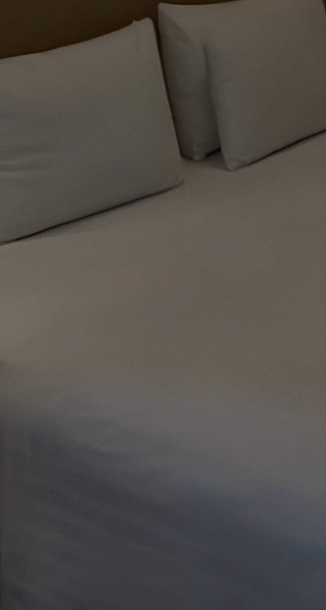 Luisito11678146's tweet photo. Ustedes son así de maniáticos o no les importa? #Casa #Cuarto #Bayamón #PR https://t.co/lKmJgktORQ