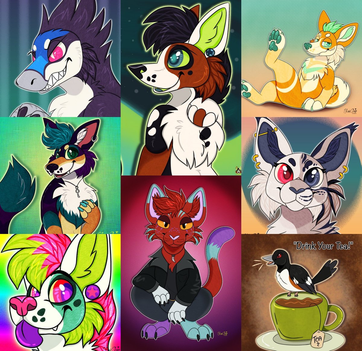 ⭐ STARSHEP ⭐ tweet media