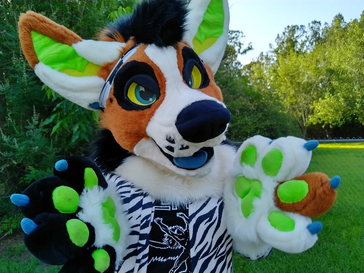 ⭐ STARSHEP ⭐ tweet media