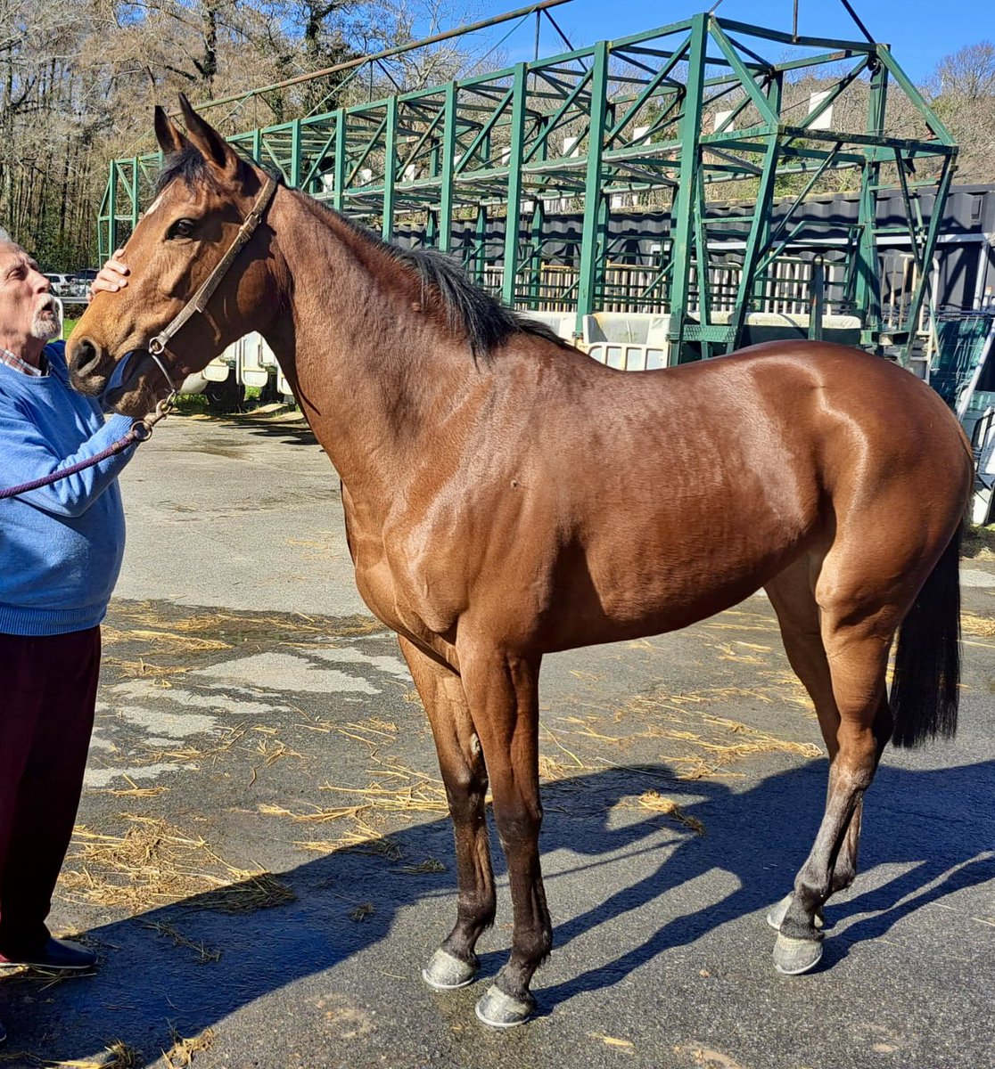 Ferdemente 🏇💚⚽️ tweet media