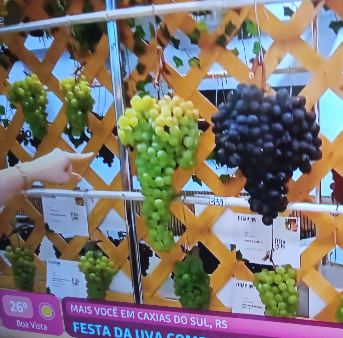 RS MEMES tweet media