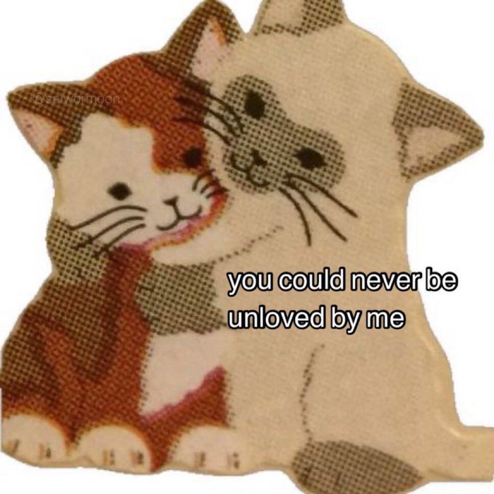 cats.jpg (@catsdotjpg) on Twitter photo 