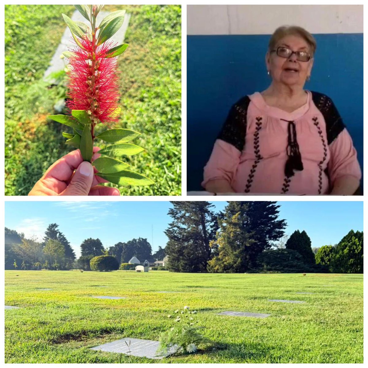 Ramon Vera tweet media